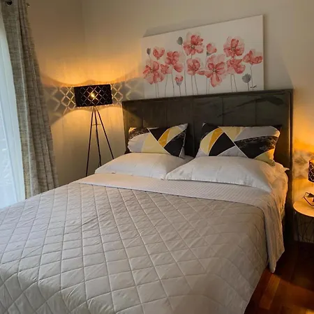 Apartment Ana Bibinje